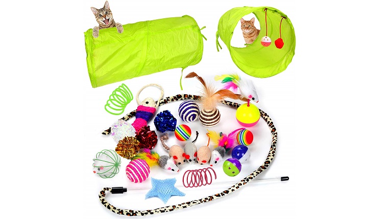 cat tunnel and toys