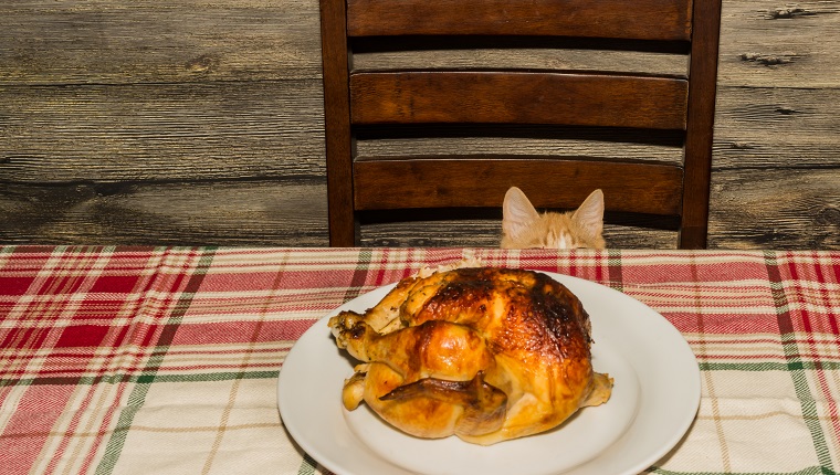 Pet Cat sneaking on the table stealing food during the holiday.