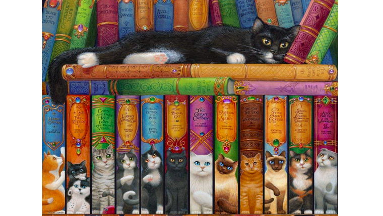 Cat bookshelf jigsaw