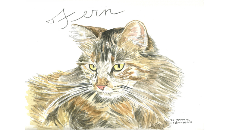 gene's watercolor of a cat named Fern