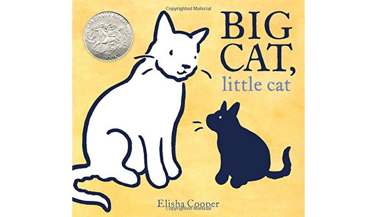 Big Cat, Little Cat book