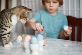 Cat and kid crafting