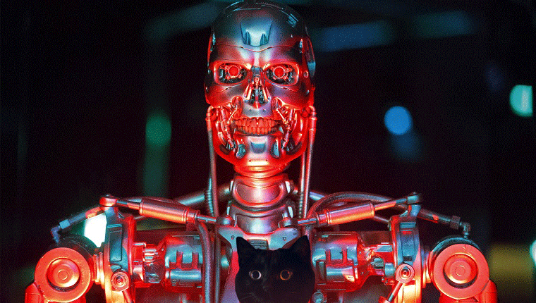 cat in front of the terminator robot