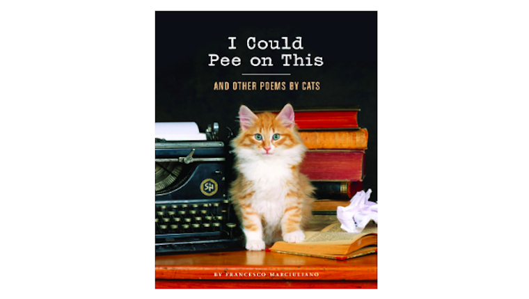 Cat poems book