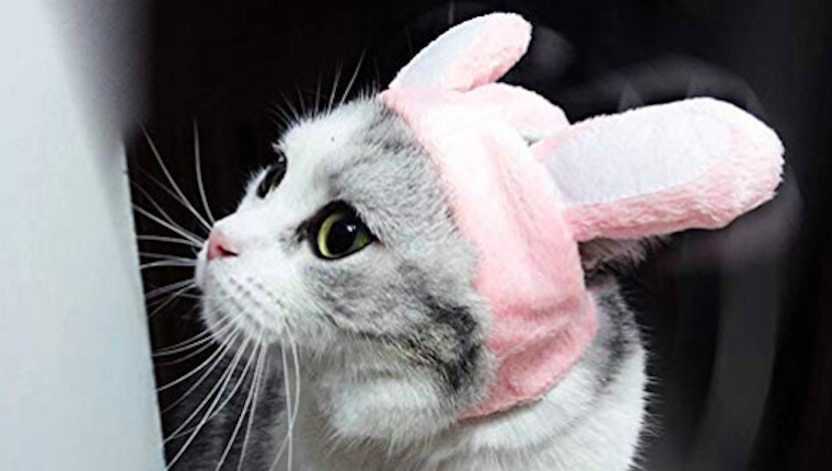 Cat rabbit ears hat