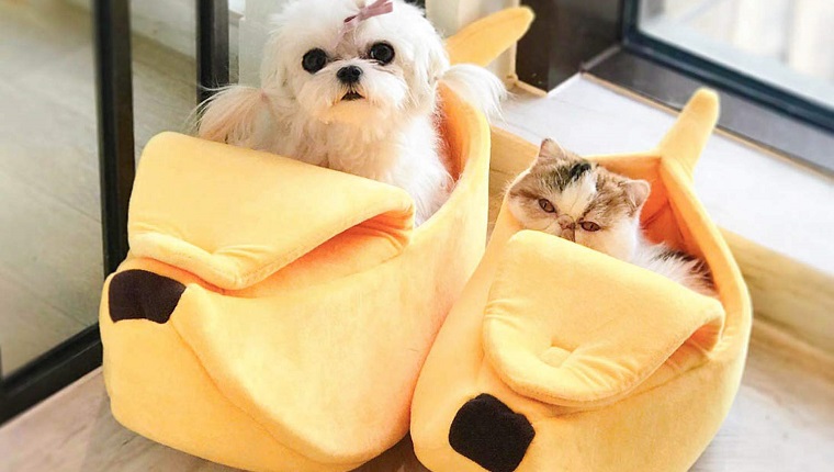 banana shaped pet bed