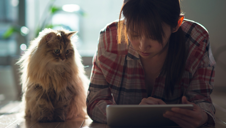 Cat and girl watching iPad