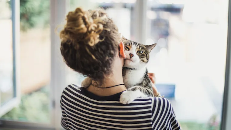 Human holding cat