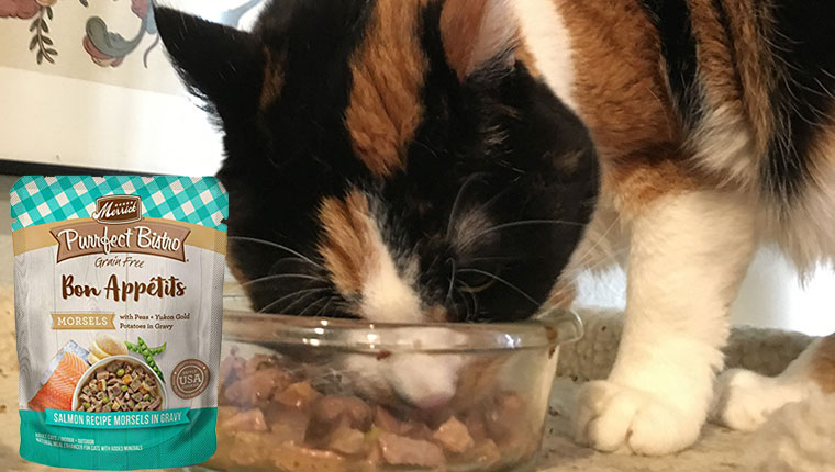 CatTime Review Will Merrick s Purrfect Bistro Grain Free Bon Appetits Appeal To A Foodie Kitty CatTime