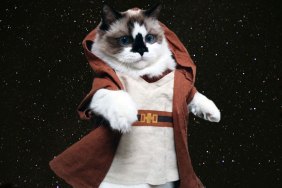 jedi cat in space on star wars day