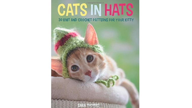 Cats In Hats book