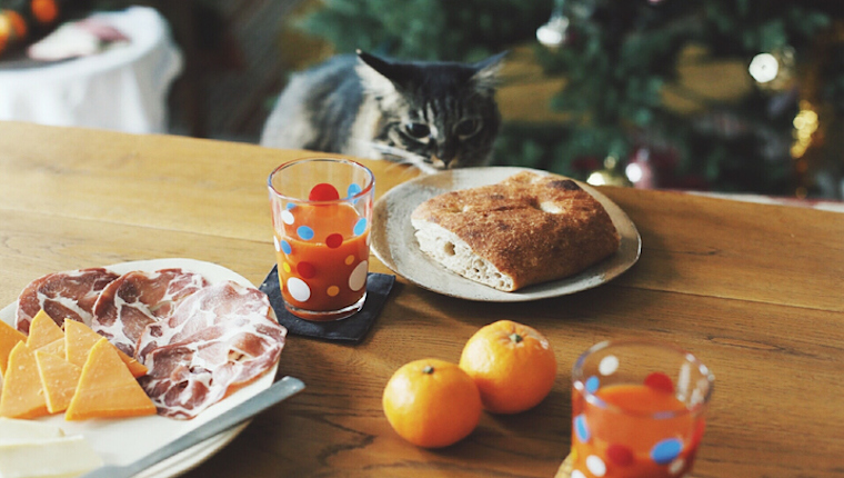 Cat looking at bread on table