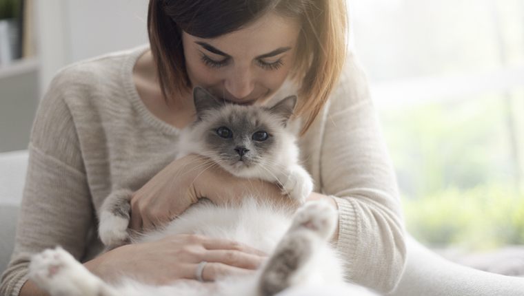 Cat and woman