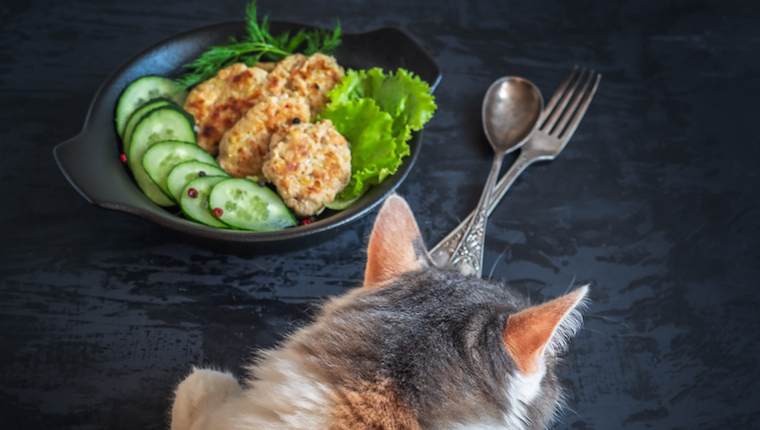 Cat and bowl of cucumbers