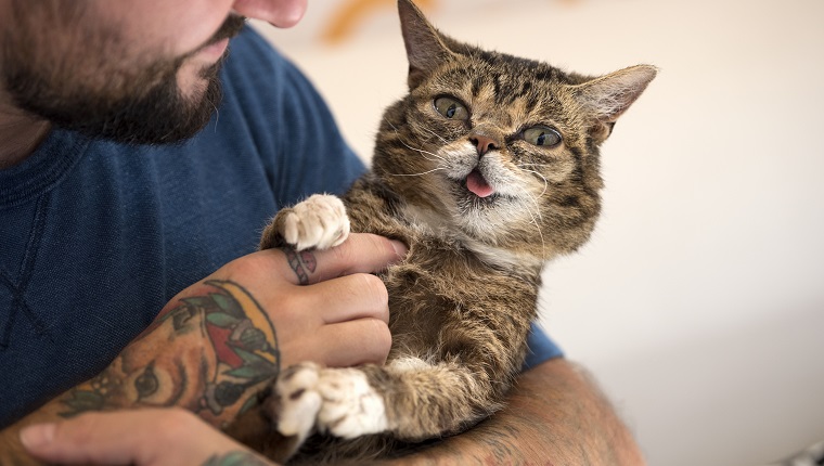 Lil Bub and Mike Bridavsky attend CatCon in Pasadena, California on August 13, 2017. The two-day event includes meet and greets with celebrities and famous cats, the CatCon Video Festival, rescued cats available for adoption and more. 20,000 people are estimated to attend the event which is the biggest cat lovers convention in the world.