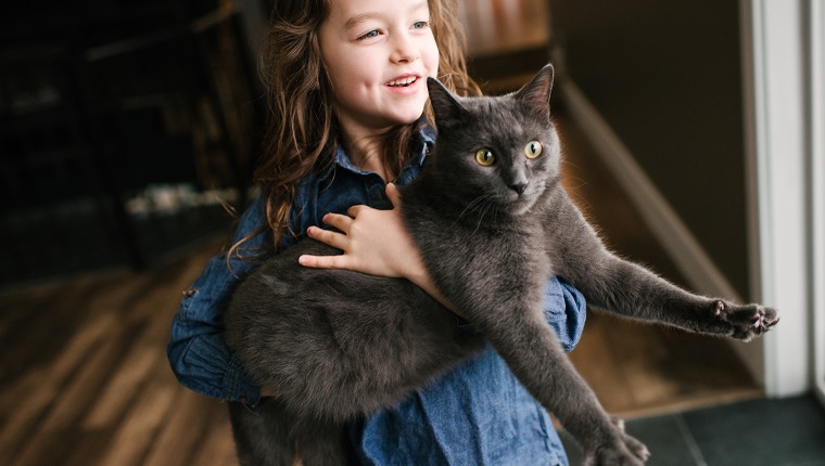 Little girl playing with cat at home