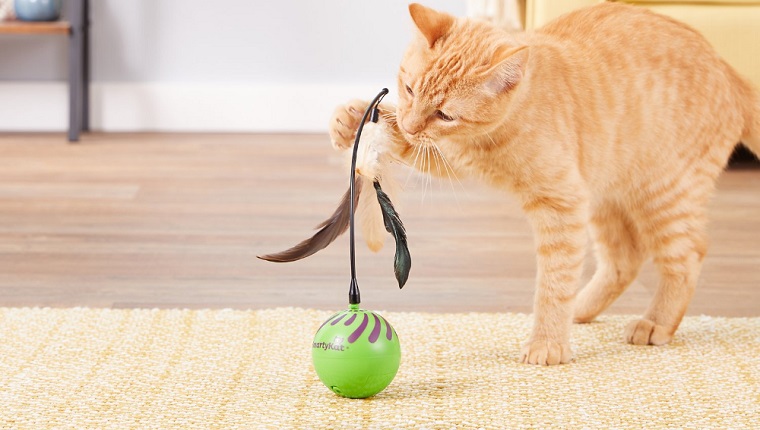 electronic motion cat toy