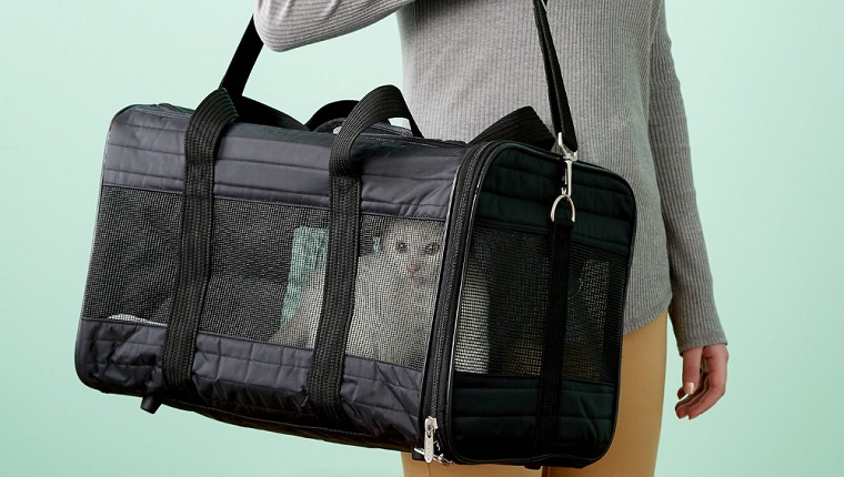 cat carrier