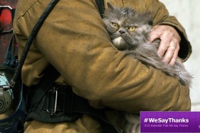 cat with firefighter
