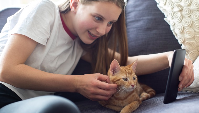 Teenage Girl With Pet Cat Taking Selfie On Mobile Phone At Home