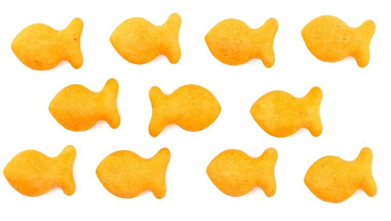 can-cats-eat-goldfish-crackers-are-goldfish-crackers-safe-for-cats