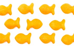 FIsh Shaped Cheese Crackers on a White Background