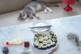 Japanese homemade maki sushi on the table with mayonnaise, wasabi and soy sauce, my cat lying on the sofa in the background.