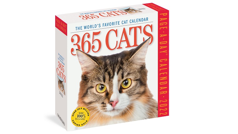 cat calendar for 2022