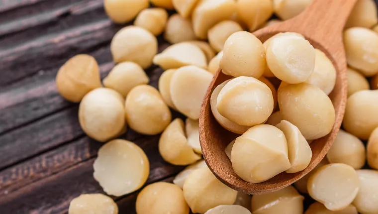 delicious macadamia nuts on a wooden rustic background.