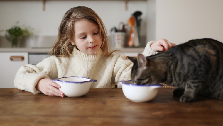 A 6 year old girl having her breakfast with her cat