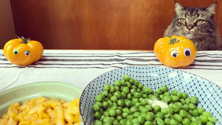 Humorous portrait of a Maine Coon cat sitting at a dinner table next to tomatoes with googly eyes and bowls filled with peas and butter and macaroni and cheese.