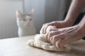 side view closeup of young Caucasian male hands working the dough near his cat pet on a kitchen wood cutting board in natural window light