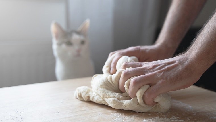 side view closeup of young Caucasian male hands working the dough near his cat pet on a kitchen wood cutting board in natural window light