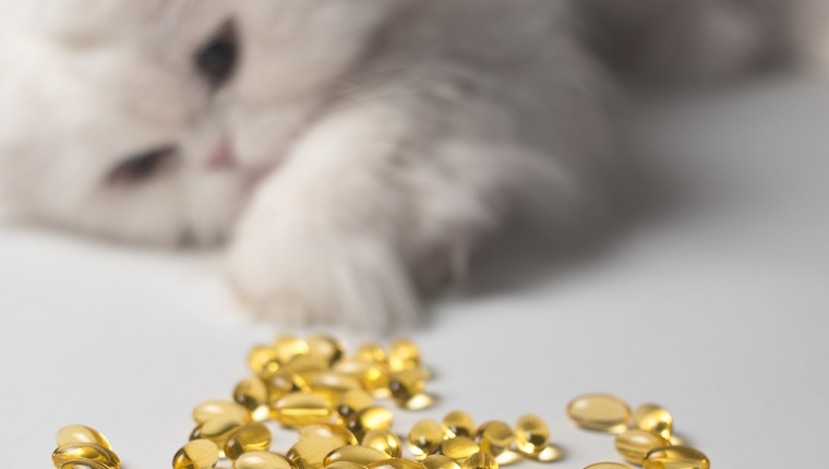 Is Fish Oil Safe For Cats