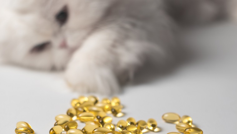Several capsules of fish oil. Curious cat in the background. White and yellow colors