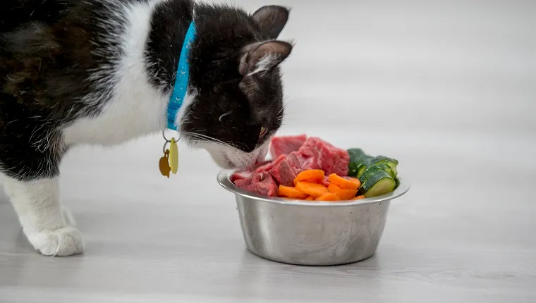 A cute cat is indoors in a kitchen. It is sniffing a bowl of food that has carrots, cucumbers and meat it in.