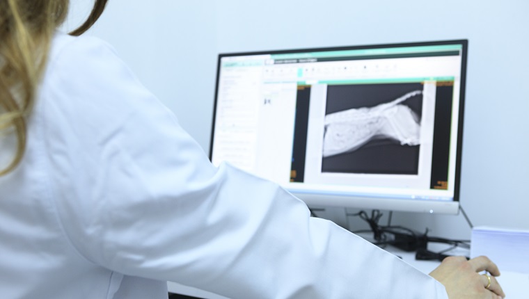 Female Veterinary Surgeon Examining X Ray of a cat