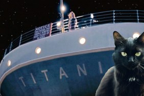cat in front of titanic