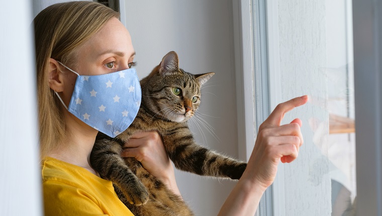The woman put on a reusable protective mask for home isolation from coronavirus and covid-19. A girl holds a Cat in her arms, indoors or at home by the window. Preventing the spread of the virus and disease. Waiting for the quarantine to complete.