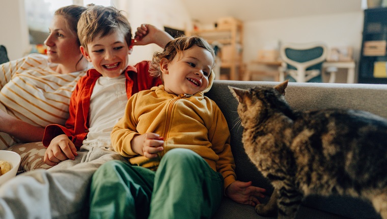 Photo of mother and sons watching tv together. Their cat is next to them