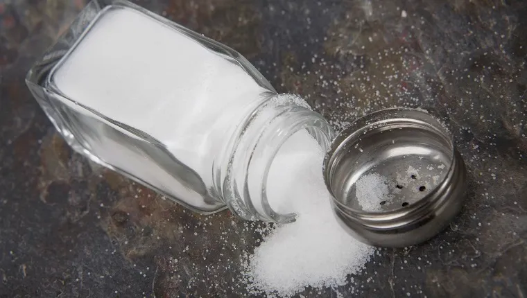 Close-up of a salt spilling from a salt shaker