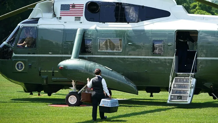 "Willow" the Biden's cat is taken to Marine One before US President Joe Biden and First Lady Jill Biden boarded Marine One on the South Lawn of the White House in Washington, DC on June 17, 2022. - The Bidens are spending the weekend in Rehoboth Beach, Delaware. (Photo by MANDEL NGAN / AFP)