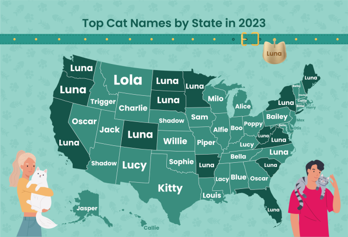 the-top-cat-names-in-every-state-of-the-u-s-cattime