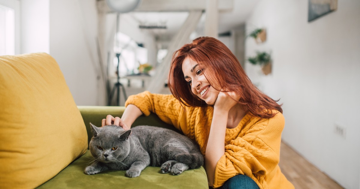Top CatSitting Etiquette Tips for Pet Sitters CatTime