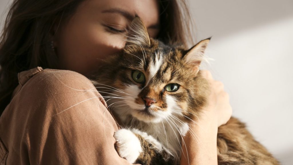 A woman tightly hugging a tabby cat, lost and returned to family.