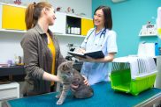 owner with cat receiving veterinary care pet insurance for cats