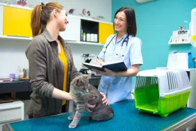 owner with cat receiving veterinary care pet insurance for cats
