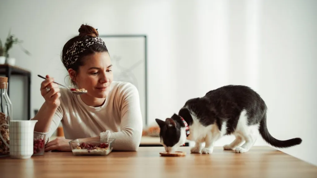 woman with cat eating toast off dining room table common mistakes cat owners make