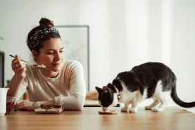 woman with cat eating toast off dining room table common mistakes cat owners make