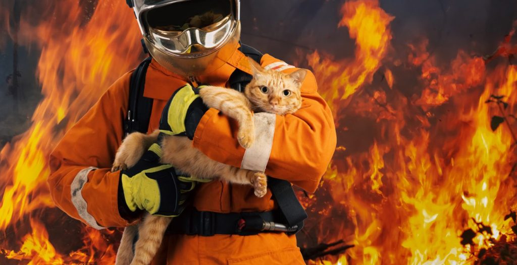 Fireman cradling an orange cat after saving him from a blazing fire in the image background.